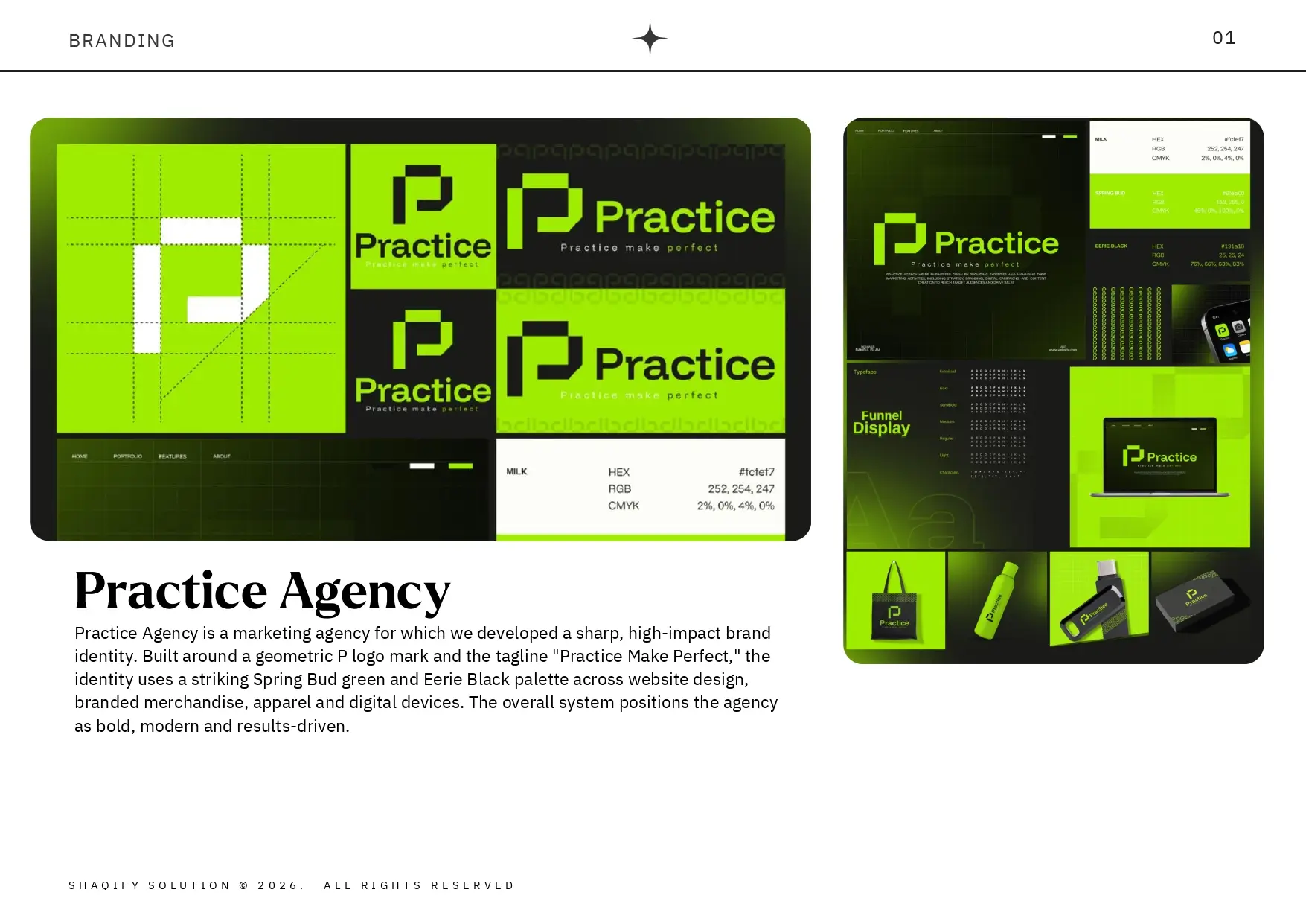 Practice Agency